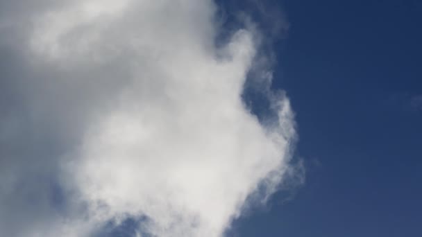 Φουντωτά άσπρα σύννεφα που κινούνται μέσω του μπλε ουρανού — Αρχείο Βίντεο