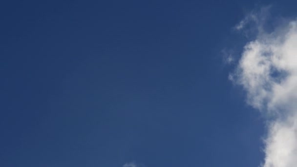 Fluffy hvide skyer bevæger sig gennem blå himmel – Stock-video