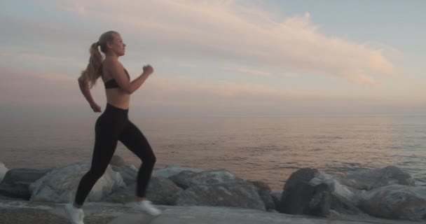 Vacker ung idrottsman kommer att vila efter jogging vid solnedgången — Stockvideo