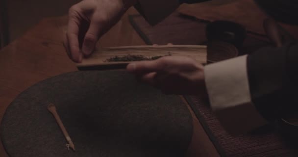 Människans händer plockar upp cylindriska plattan med torra teblad — Stockvideo