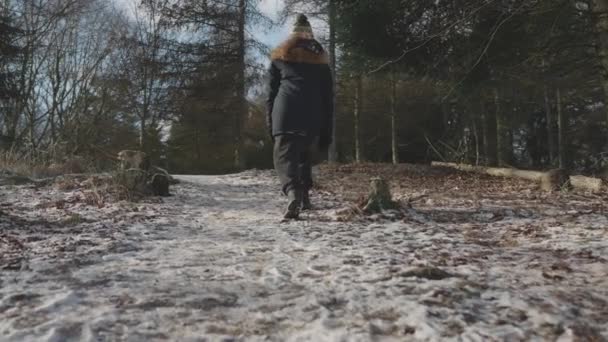 Teljes felvétel egy emberről, aki az erdő felé sétál. — Stock videók