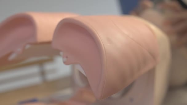 Una vista de los pulmones del maniquí a medida que se expande — Vídeos de Stock