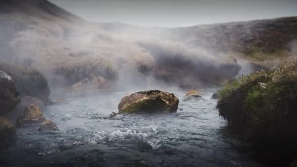 Una escena tranquila de un arroyo que fluye con agua clara — Vídeos de Stock