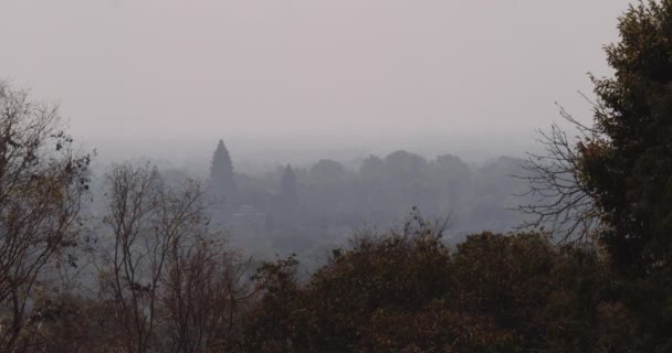 美丽风景的广博镜头 — 图库视频影像