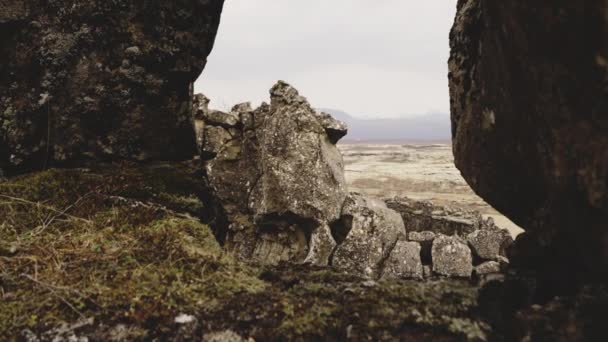 Rocky Landscape Of Thingvellir, Ισλανδία — Αρχείο Βίντεο