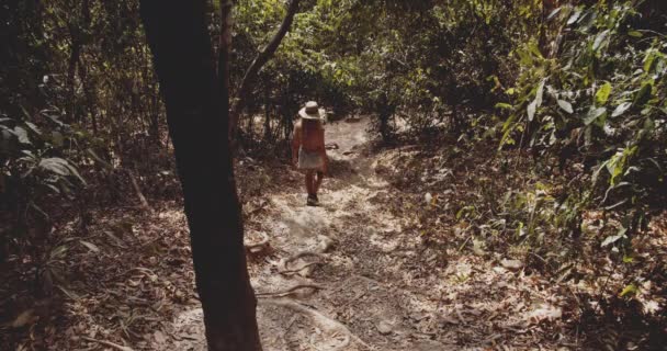 Blondýny cestovatel opatrně sleduje strmou stezku s skvrnami slunečního svitu — Stock video