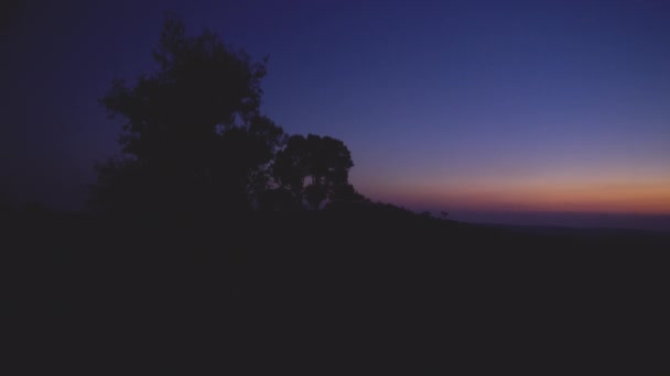 Une silhouette d'arbre avec le majestueux horizon qui se transforme en nuit — Video