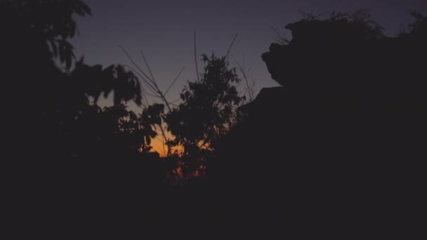 Árvores balançando para a brisa da floresta como o céu está se transformando em céu cinza escuro — Vídeo de Stock