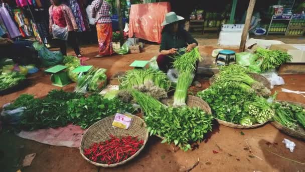 Kambodschanische Händlerin bereitet ihr grünes Produkt vor — Stockvideo