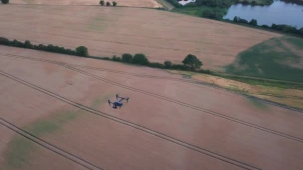 Вид сверху на пролетающий над полем черный беспилотник — стоковое видео
