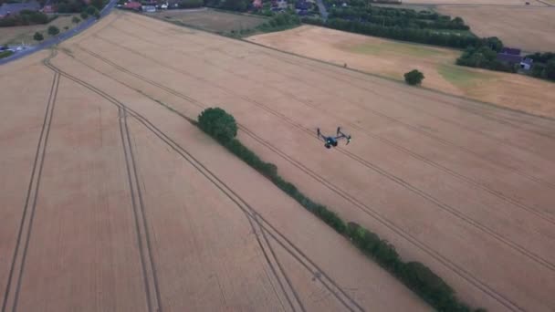 Aerial skott av svart drönare flyger över av Brown Fields — Stockvideo