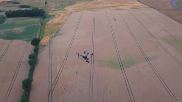 Kahverengi Tarlalarda Uçan İHA 'nın Güzel Hava Çekimi — Stok video