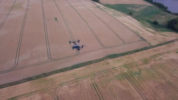 Luftaufnahme einer fliegenden Drohne inmitten brauner Felder — Stockvideo