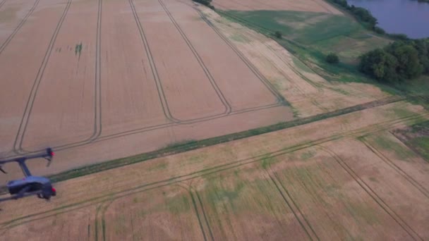 Kahverengi bir alanda uçan bir dronun nefes kesici görüntüsü. — Stok video