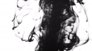 Beyaz Arkaplanda Suda Dönen Siyah Mürekkebin Yavaş Çekimi