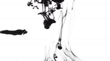 Siyah Mürekkep Beyaz Arkaplanda Temiz Suya Düştü, Soyut Çekim