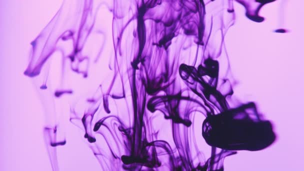 Streszczenie purpurowego tuszu wypuszczonego powyżej wirującego w wodzie na tle liliowym — Wideo stockowe
