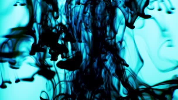 Black Ink Released Above swirling in Water on Light Blue Background — Stock Video