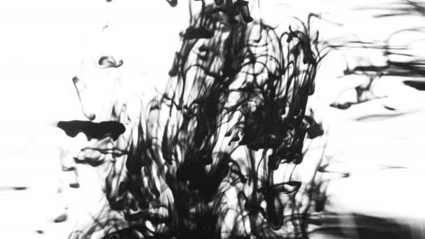 Медленно крутящиеся чернила на белом фоне капали в чистую воду — стоковое видео
