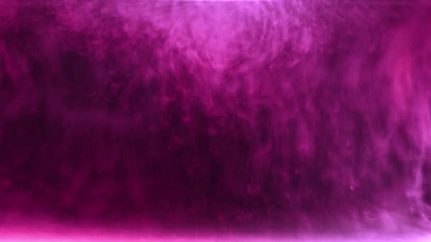 Белые чернила, подвешенные в водяной туман, как появление на пурпурном цвете — стоковое видео