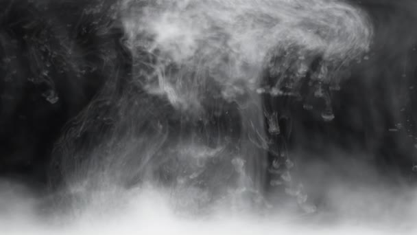 Белые чернила, подвешенные к воде на заднем черном фоне, растворяющиеся — стоковое видео