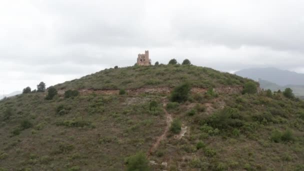 Onthulling Drone neergeschoten van mooie bomen naar de top van de heuvel en een kasteel — Stockvideo
