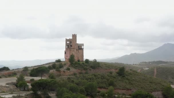 Vista del dron de un castillo en la cima de una colina en los campos verdes — Vídeos de Stock