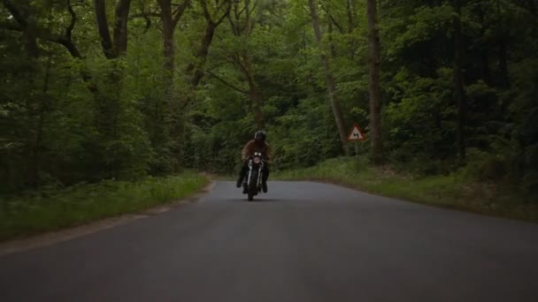 Motociclo guidato su una strada di cemento circondata da una ricca foresta — Video Stock