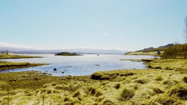 Increspature sul fiume Splendidamente schiantarsi contro il lussureggiante campo verde — Video Stock