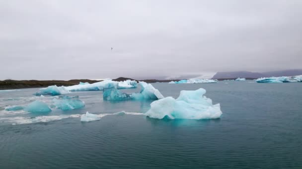 Majestic Drone Shot of Icebergs Scattered in the Blue Ocean, Iceland — Stockvideo