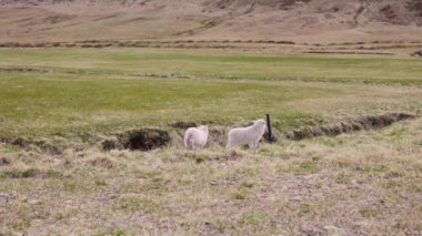 Çerçevedeki Kuzular ve Açık Alan, Çerçevedeki Dağ Üssü