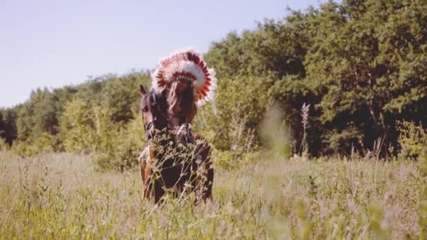 Girl On Horseback In Native American Headdress In Meadow — Stock video