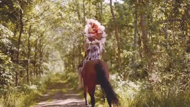 Młoda kobieta w nakryciu głowy odchodzi na koniu w słonecznym lesie — Wideo stockowe