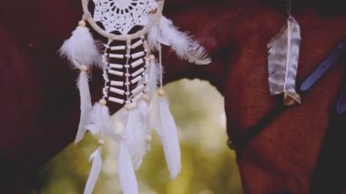 Mane 'de Amerikan Yerlisi Rüya Yakalayıcı ile At