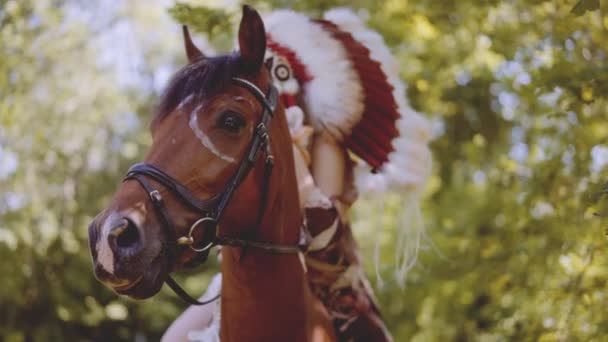 Vrouw in hoofdtooi rustend tegen paard — Stockvideo