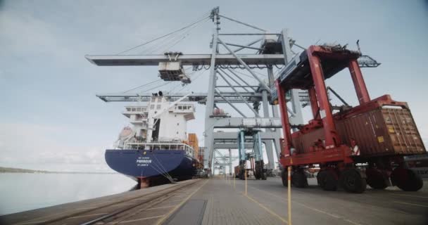 港口起重机在晴朗天空下运送货柜货物的景象 — 图库视频影像