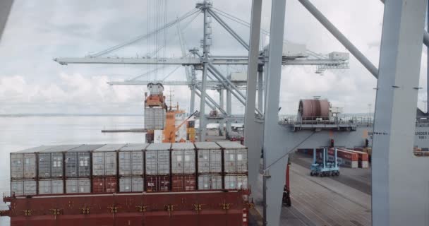Hook Blocks Lifting Containers Alternately on the Background of Bright Skies — Stock Video