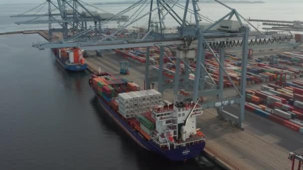 Containerscheepswerf op het eindeloze uitzicht op de kalme oceaanwateren — Stockvideo