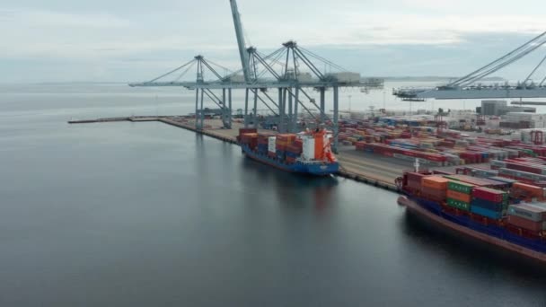 Containerscheepswerf op het Oneindige Scène van de Kalme Oceaan Wateren — Stockvideo