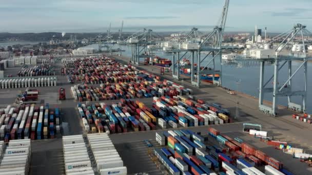 Container Shipyard on the Horizon of the Blue Skies and the Endless Ocean — Vídeos de Stock