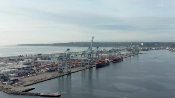 Container Scheepswerf op het Immense Uitzicht van de Oceaan Wateren en Bleke Blauwe Luchten — Stockvideo