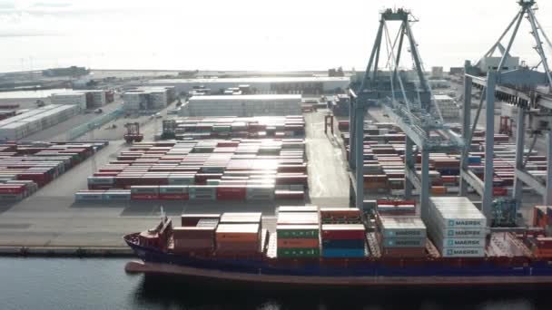 Container Shipyard on the Horizon of the Clear Skies and the Endless Ocean — Vídeos de Stock