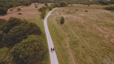 Yeşil Tarlaların Ortasında Kahverengi Atlarla Seyahat Eden Binicilerle