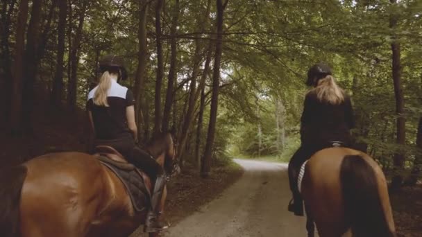 Lovasok lovak lovas kilátással buja erdő lassú mozgás — Stock videók