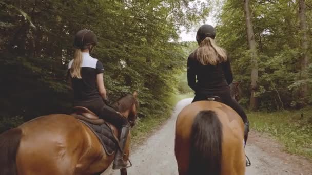 Movimento lento de dois equestres montando em cavalos com a paisagem da floresta rica — Vídeo de Stock