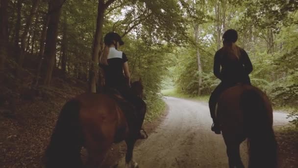 Конники верхом на лошадях с ландшафтом пышного леса в медленном движении — стоковое видео