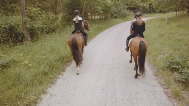 Twee ruiters paardrijden in paarden met een landschap van rijk bos en smalle weg — Stockvideo