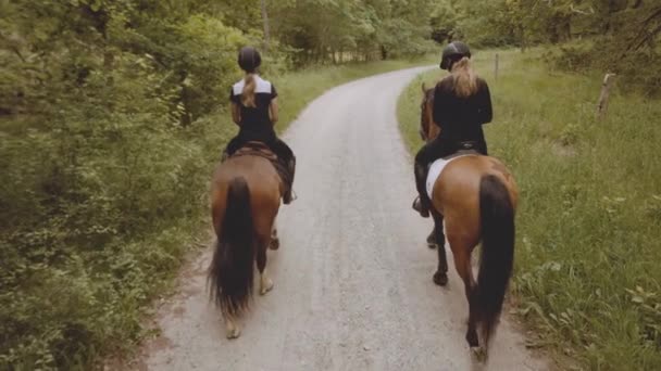 Dois equestres montando em cavalos com a paisagem da floresta rica — Vídeo de Stock