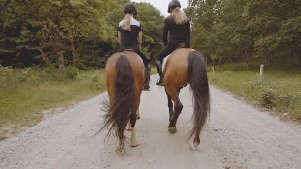 Két női lovas lovas az erdő közepén — Stock videók