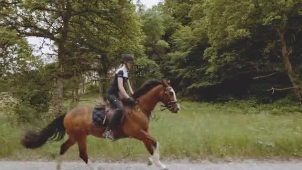 Jovem equestre montado em um cavalo pela floresta exuberante e horizonte céu brilhante — Vídeo de Stock